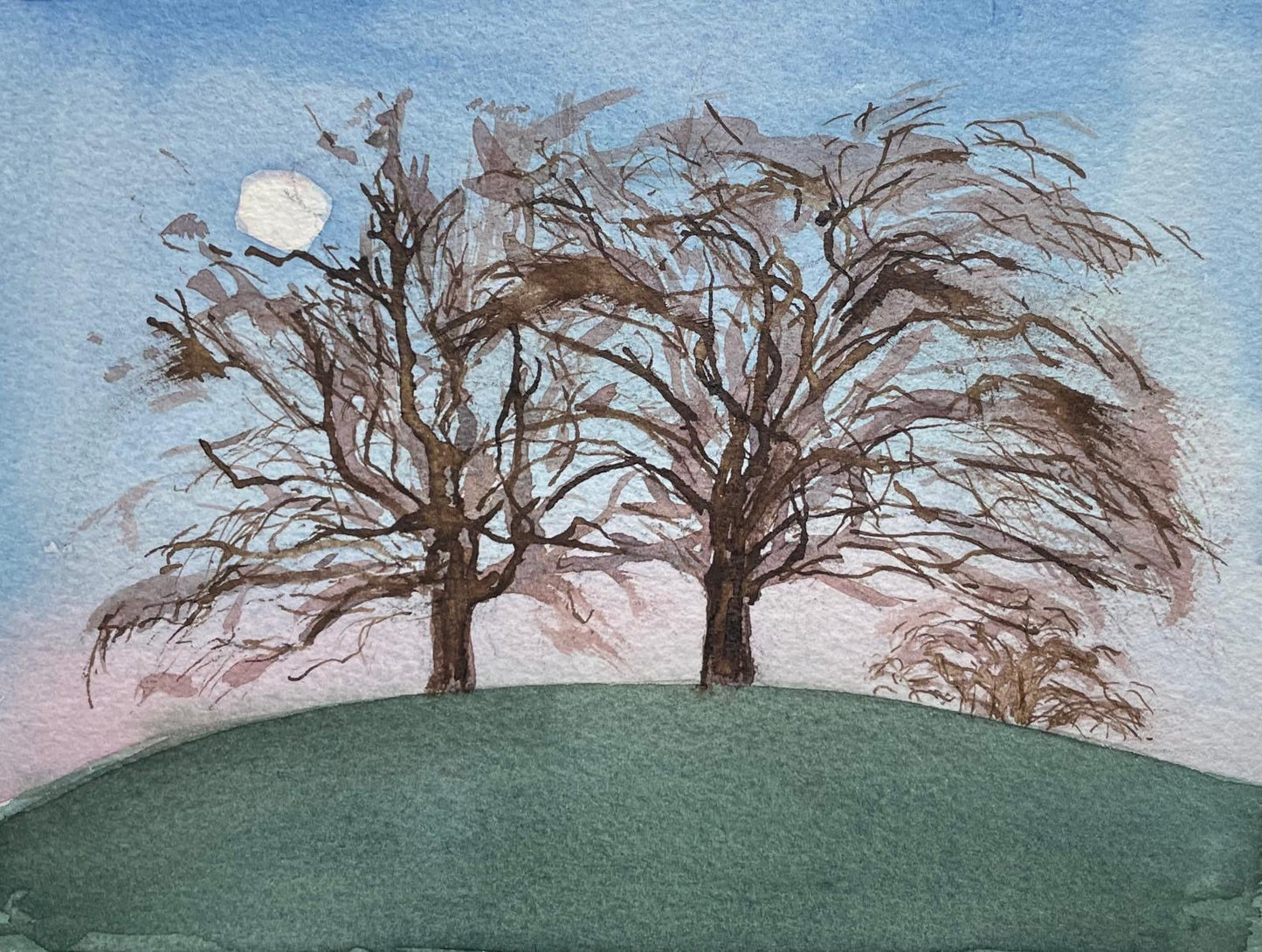 Winter Beech & Chestnut