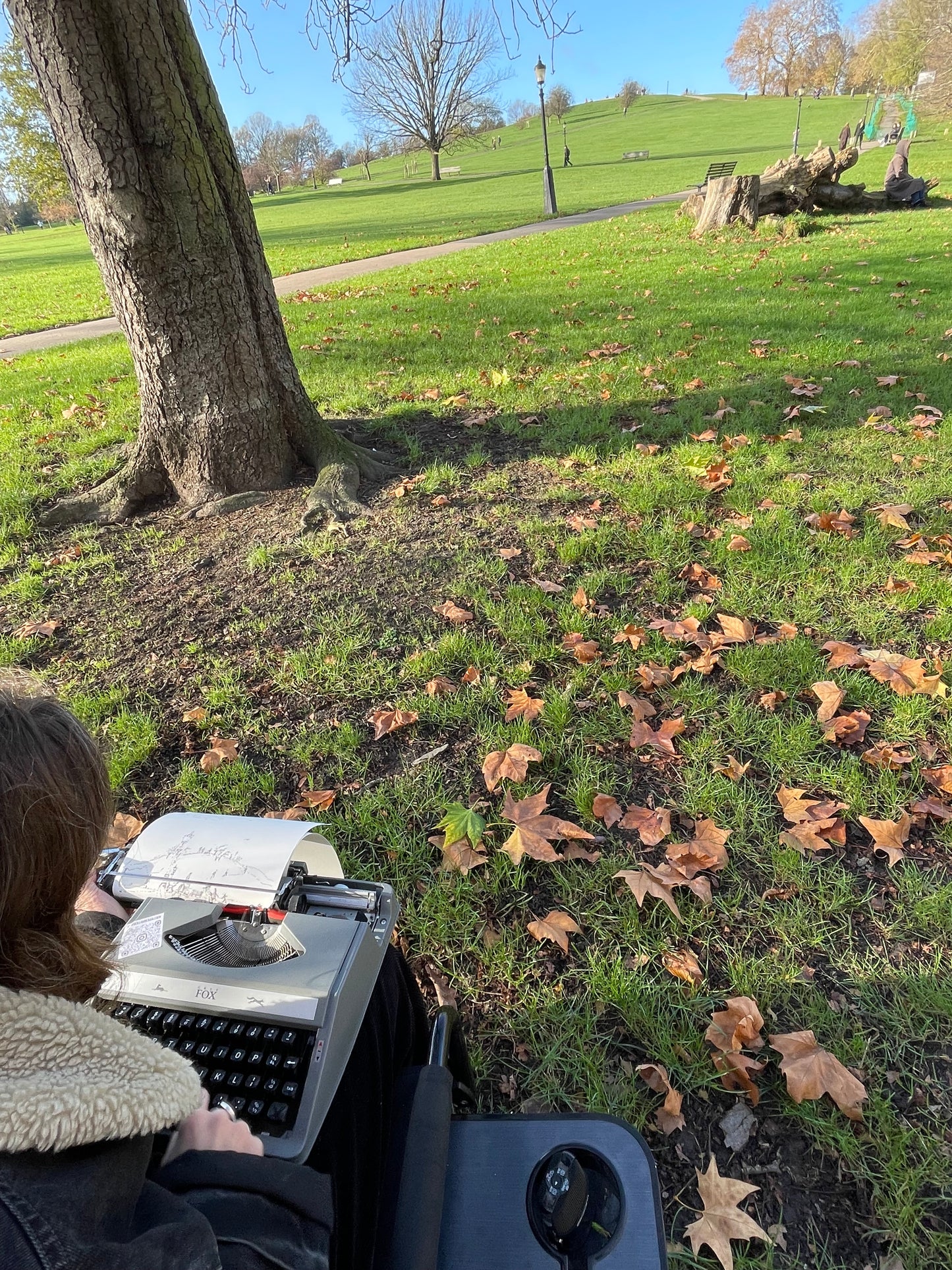 Fine before the Fine, Live Typing, Primrose Hill