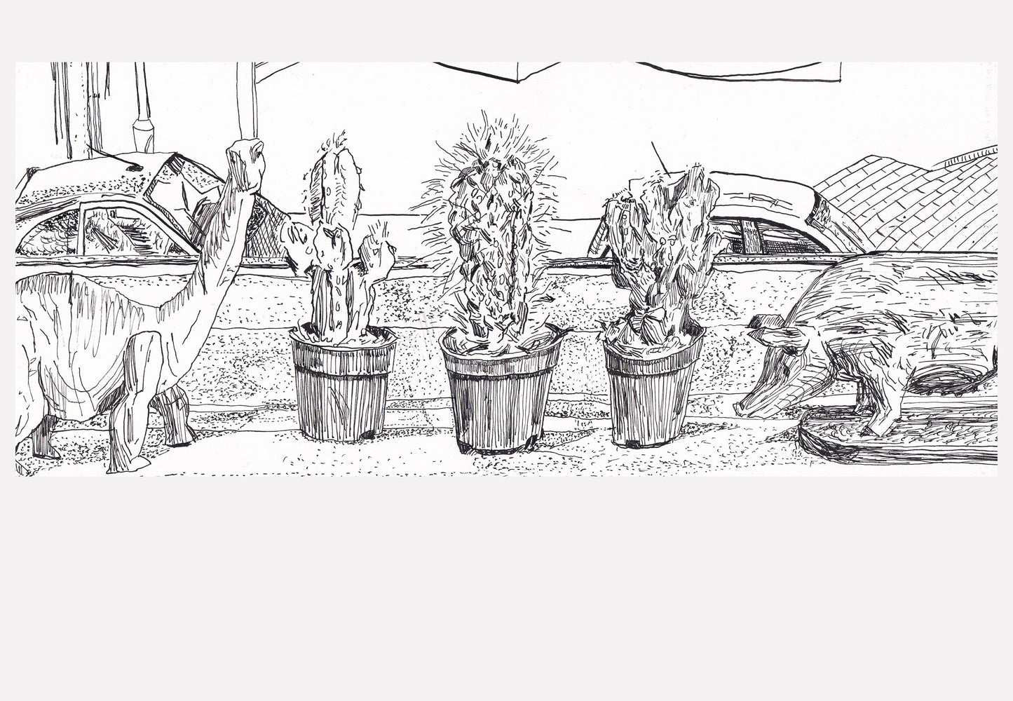 Windowsill With Three Cacti And Two Ornaments by Aaron Jolley — Drawing, Ink on Paper