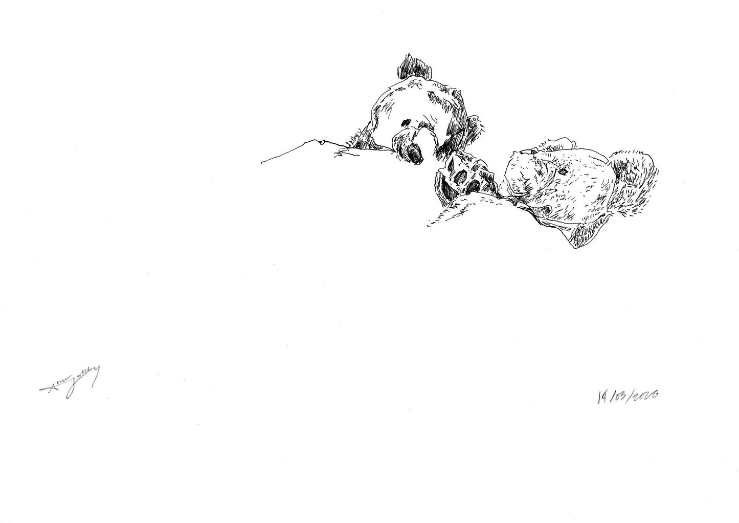 Big Ted & Djungelskog by Aaron Jolley — TBC