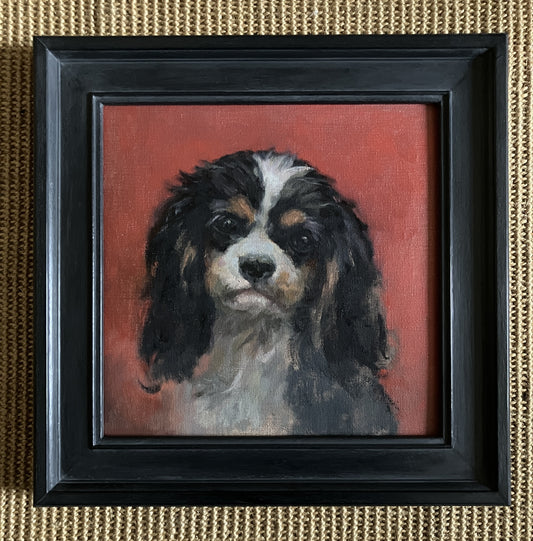 Cavalier King Charles Spaniel by Suzanne Cochrane