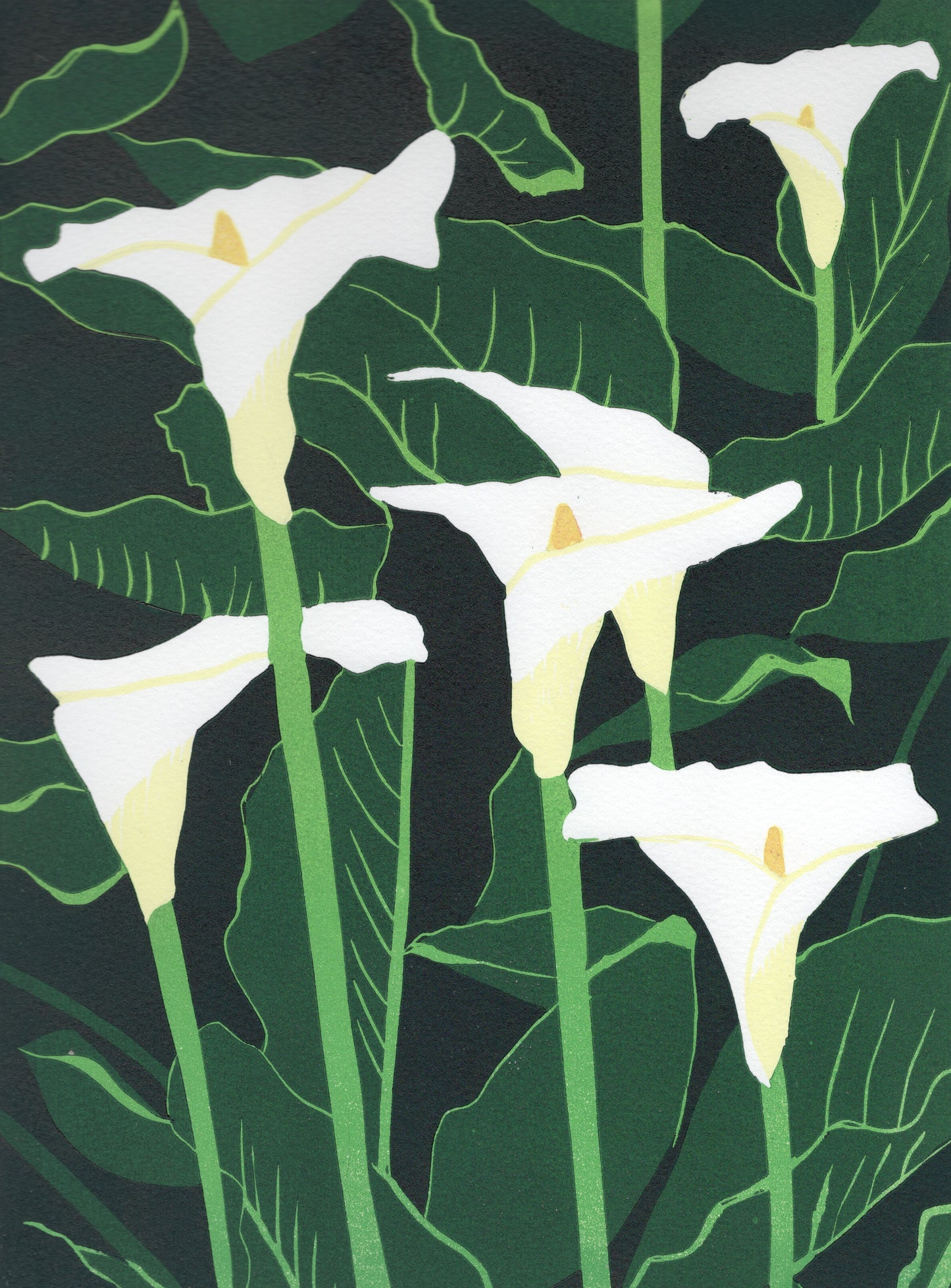 Lilies by Amanda Taylor