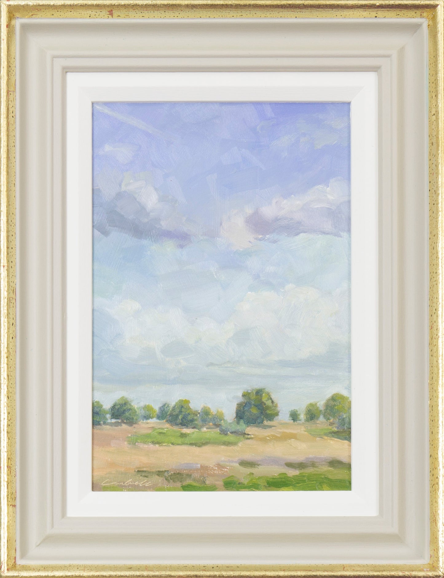 Summer Skies, Richmond Park by Matthew Cordwell