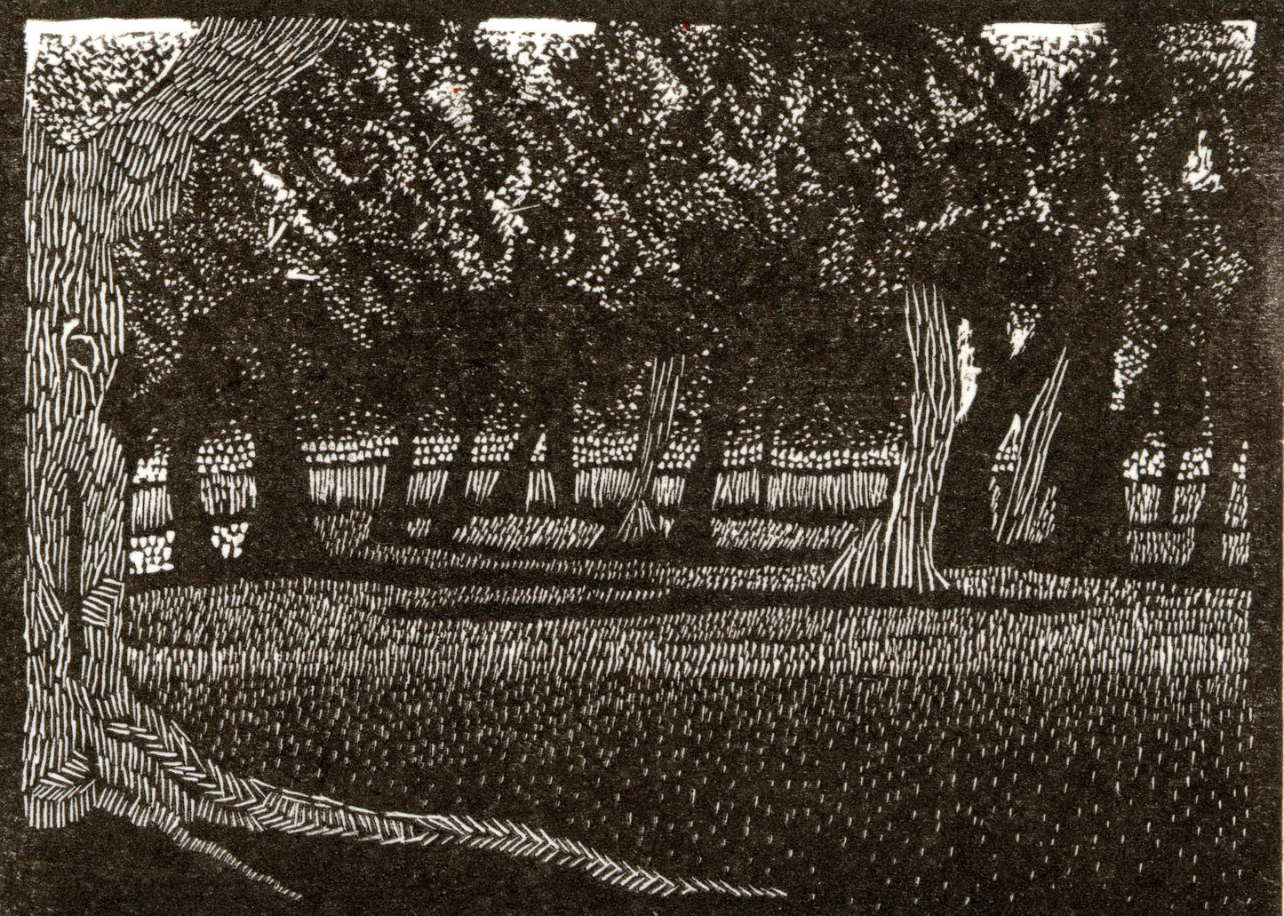 Summer Trees by Amanda Taylor