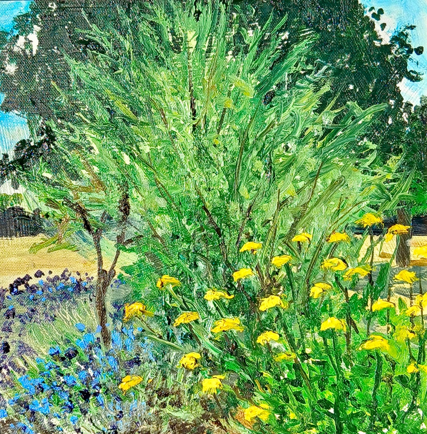 Acchillea, Lavender & Tamarisk