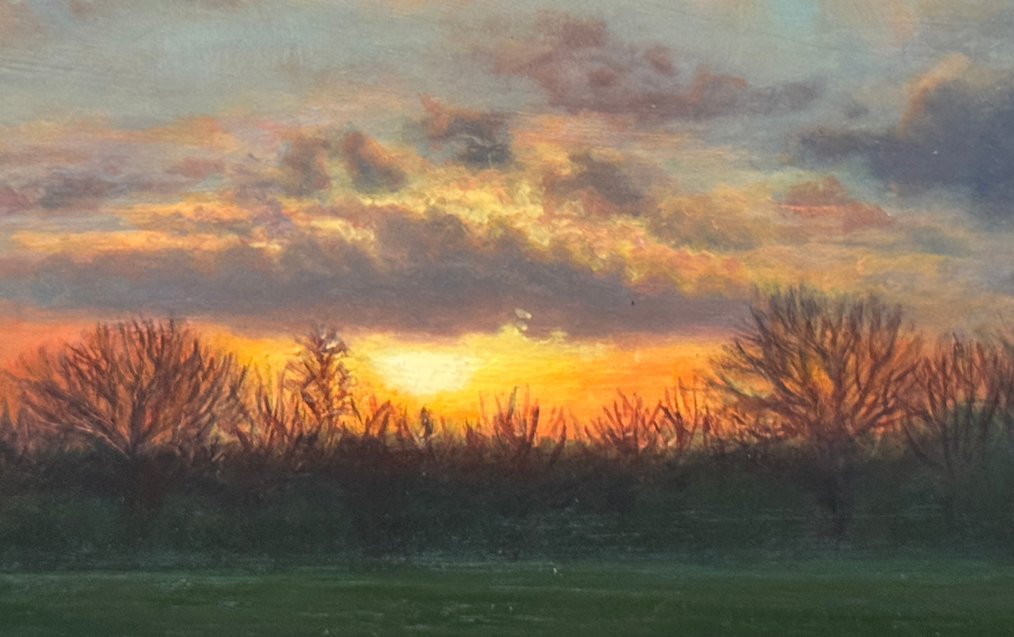 Sunset in the Park (XXIII)