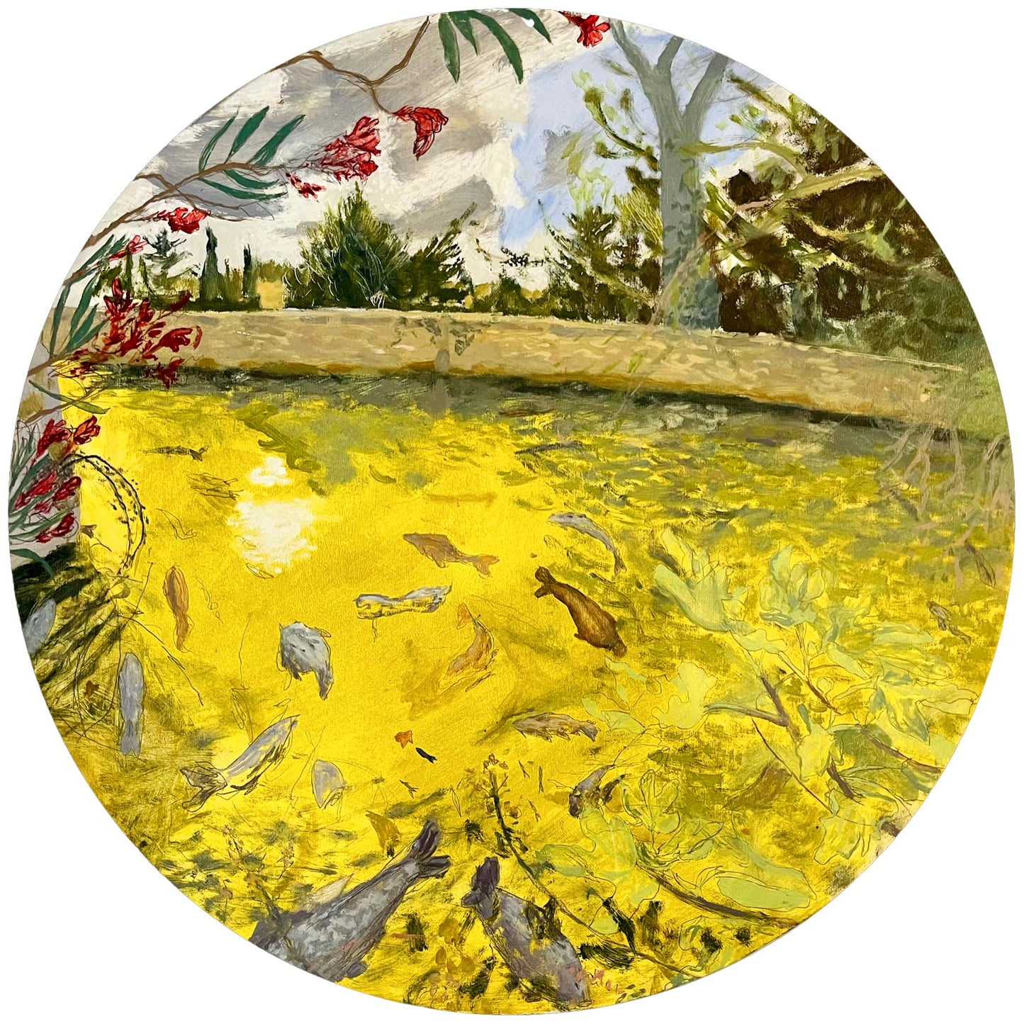 Fish Pond, Provence