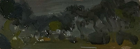 Primrose Hill, Trees at Night