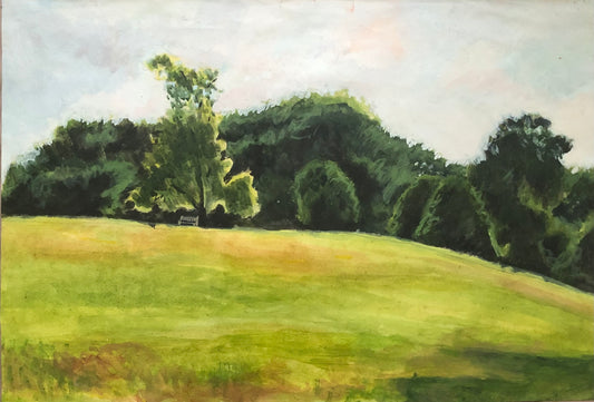 Parliament Hill Fields