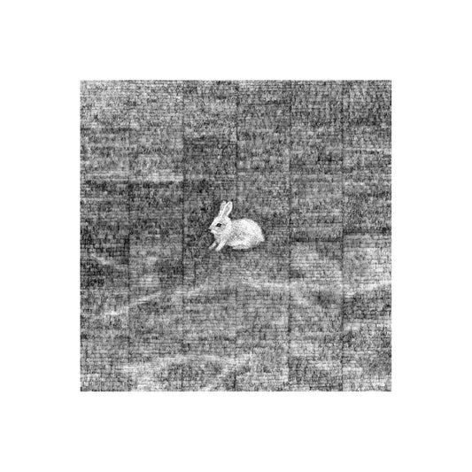 Rabbit at Lillie Recreation Ground