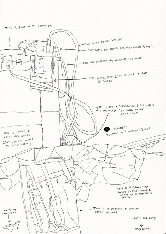Picture With Lots of Labels by Aaron Jolley — Drawing, Ink on Paper