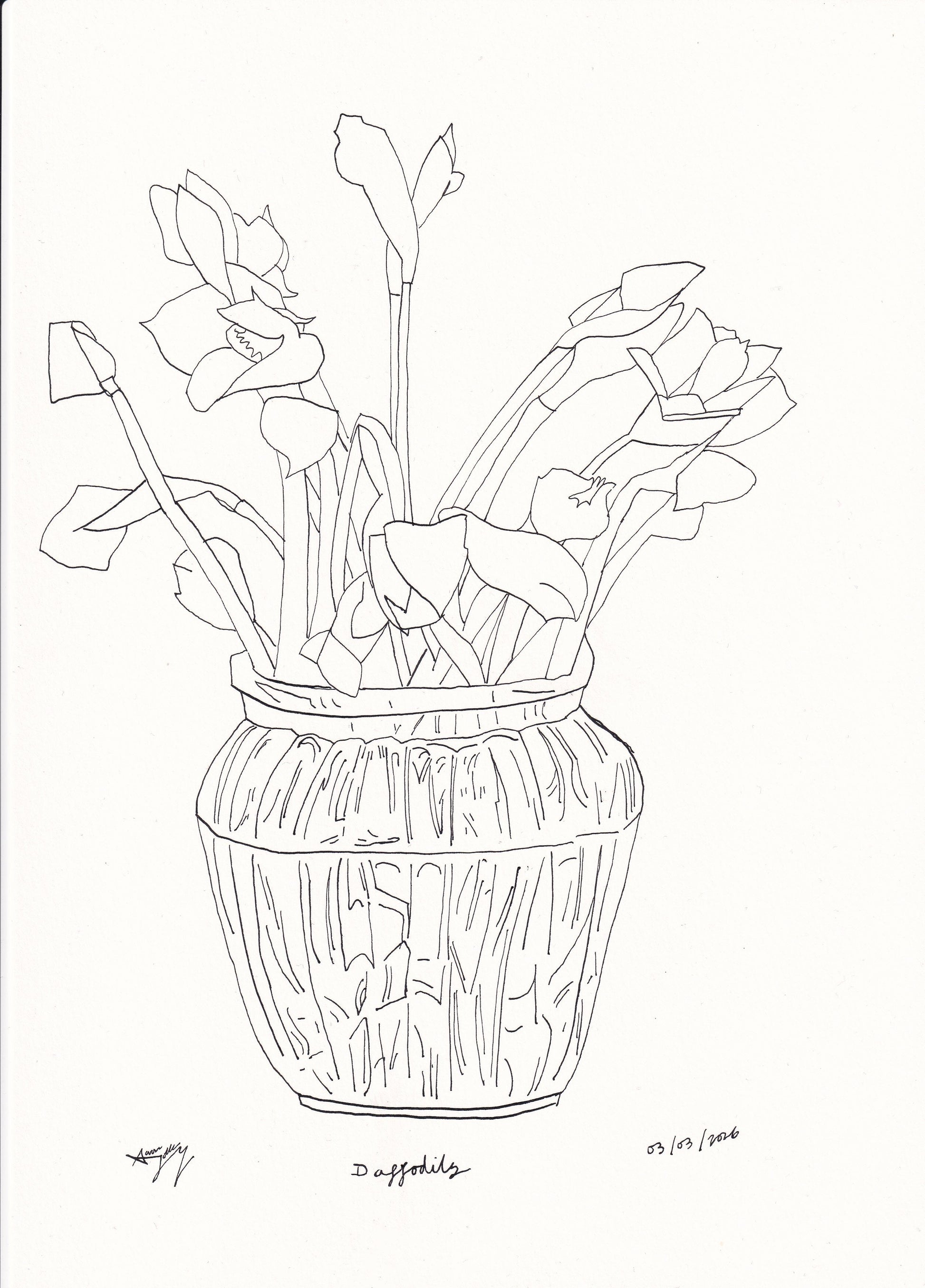 Daffodils by Aaron Jolley — Drawing, Ink on Paper