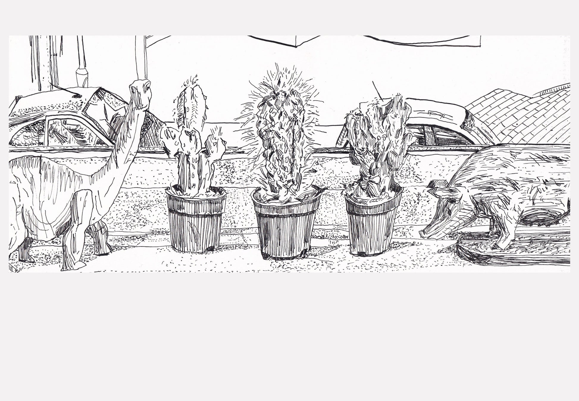 Windowsill With Three Cacti And Two Ornaments by Aaron Jolley — Drawing, Ink on Paper