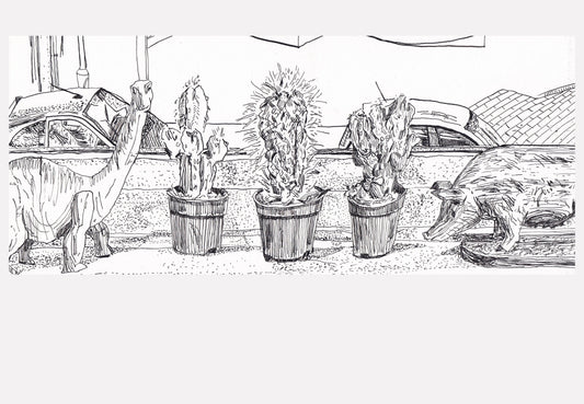 Windowsill With Three Cacti And Two Ornaments by Aaron Jolley — Drawing, Ink on Paper