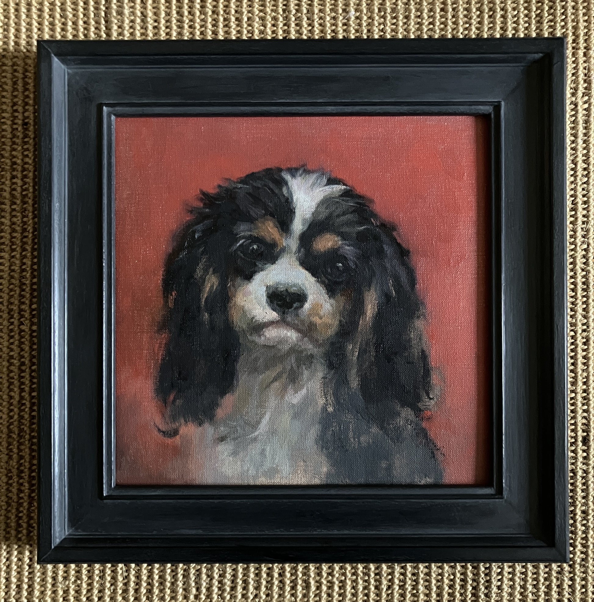 Cavalier King  Charles Spaniel by Suzanne Cochrane