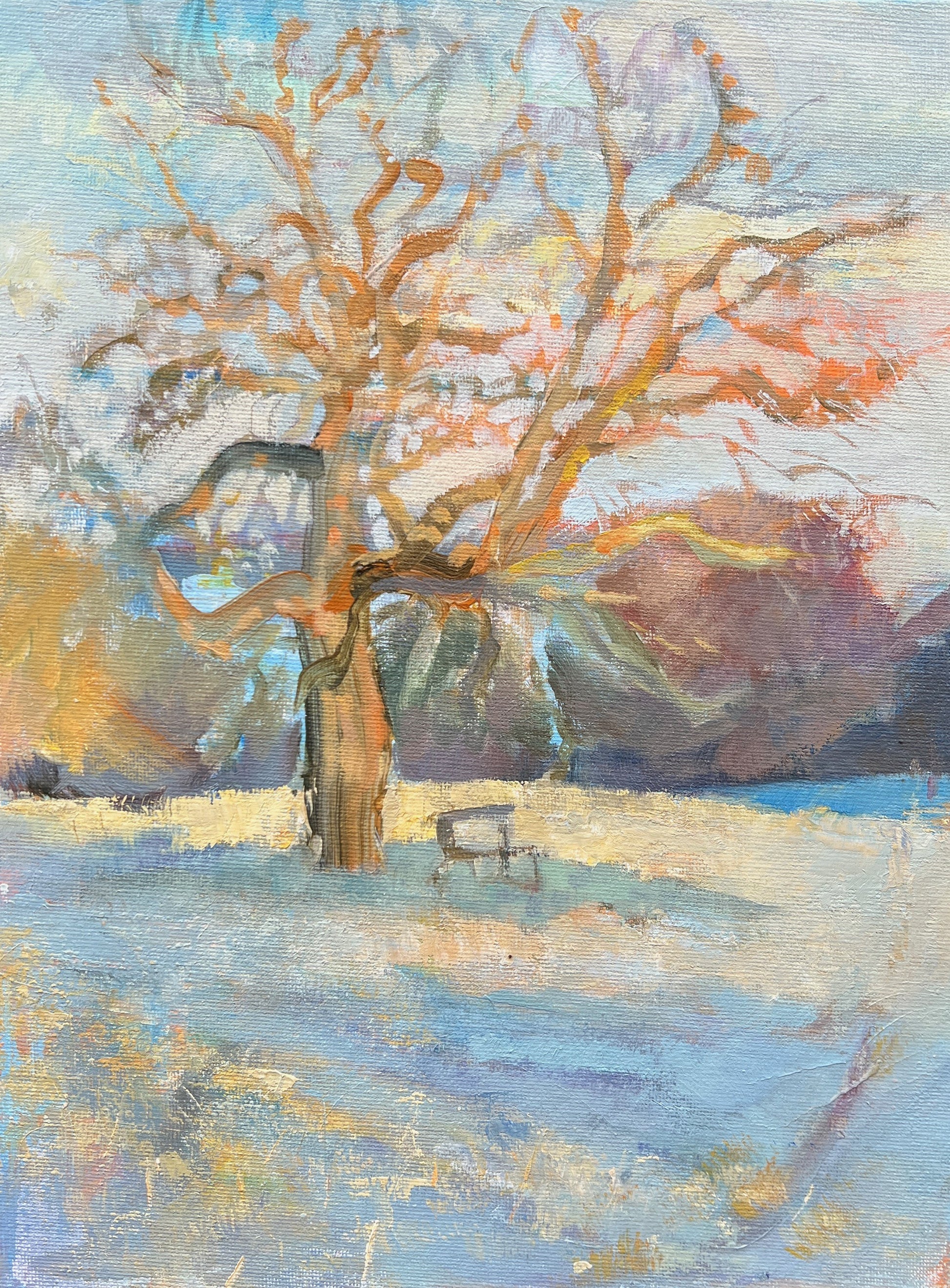 Frosty Glow by Paul Hunter