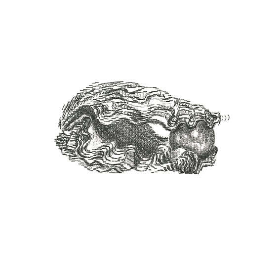 Oyster Pearl (Closed) — Limited Edition Print by Keira Rathbone — Limited edition giclée print on Hahnemühle German Etching 310 gsm