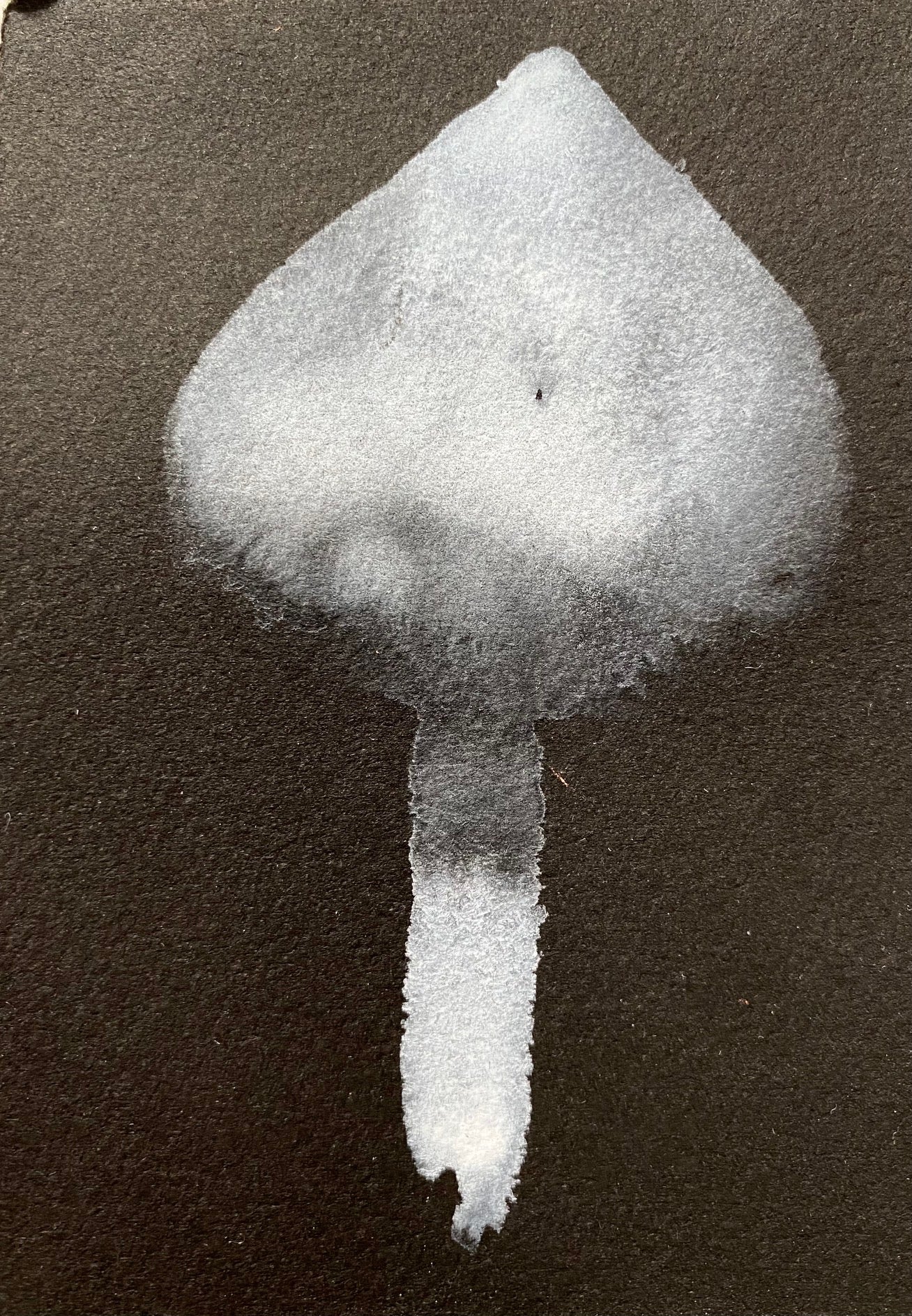 Mysterious Fungi