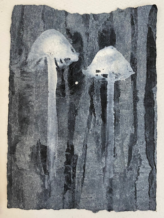 Ghost Fungi