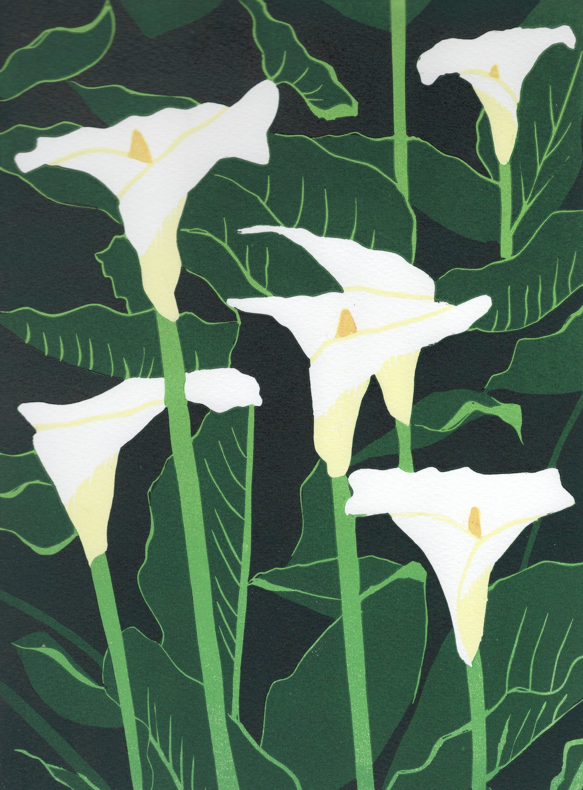 Lilies by Amanda Taylor