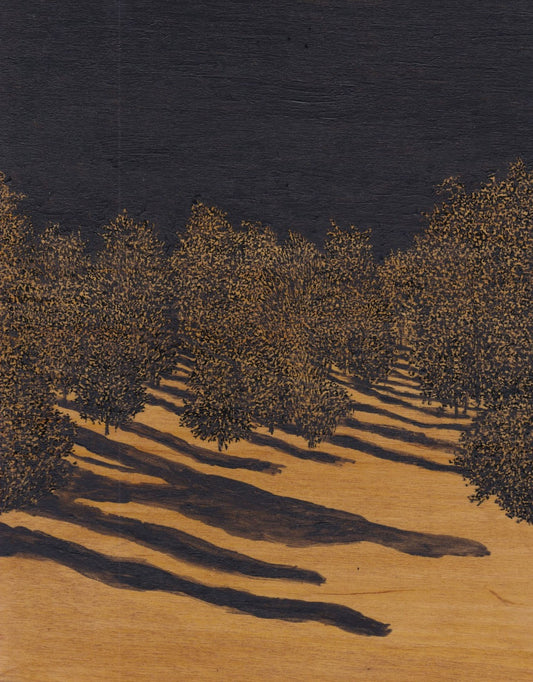 Perimeter by William Lindley