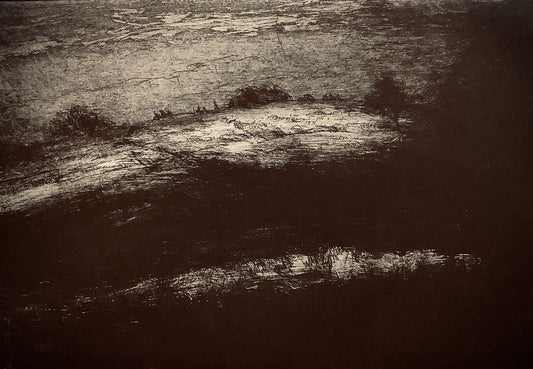 Primrose Hill evening, late summer by Desmond Healy