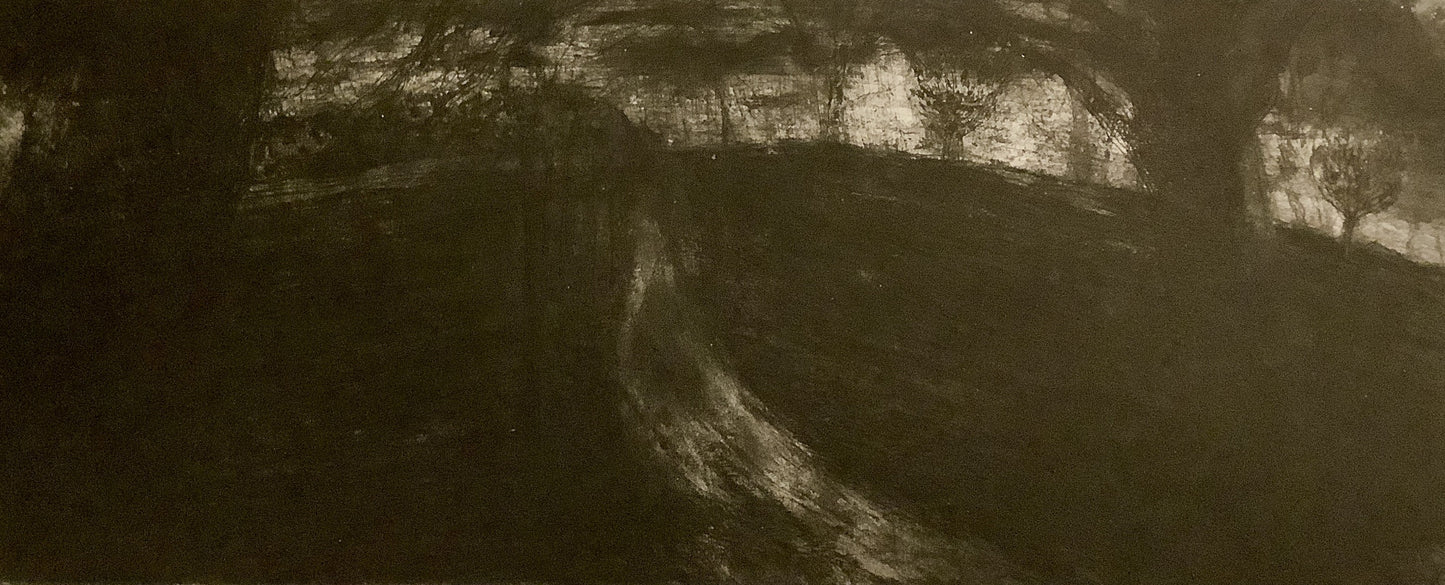 Primrose Hill, late Autumn, rain by Desmond Healy