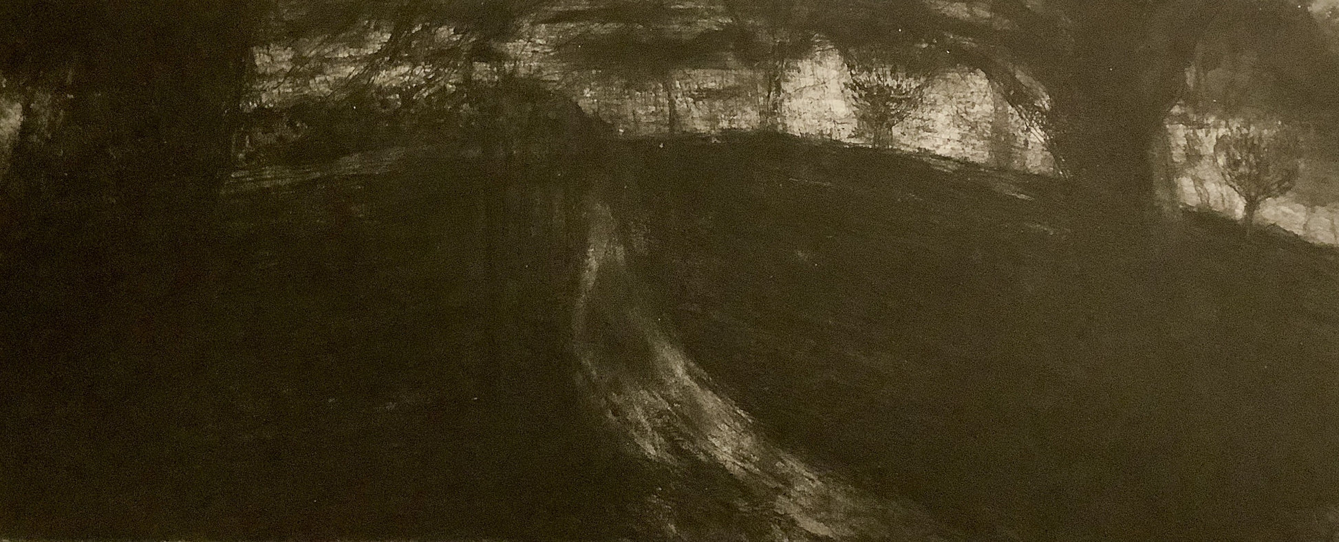 Primrose Hill, late Autumn, rain by Desmond Healy