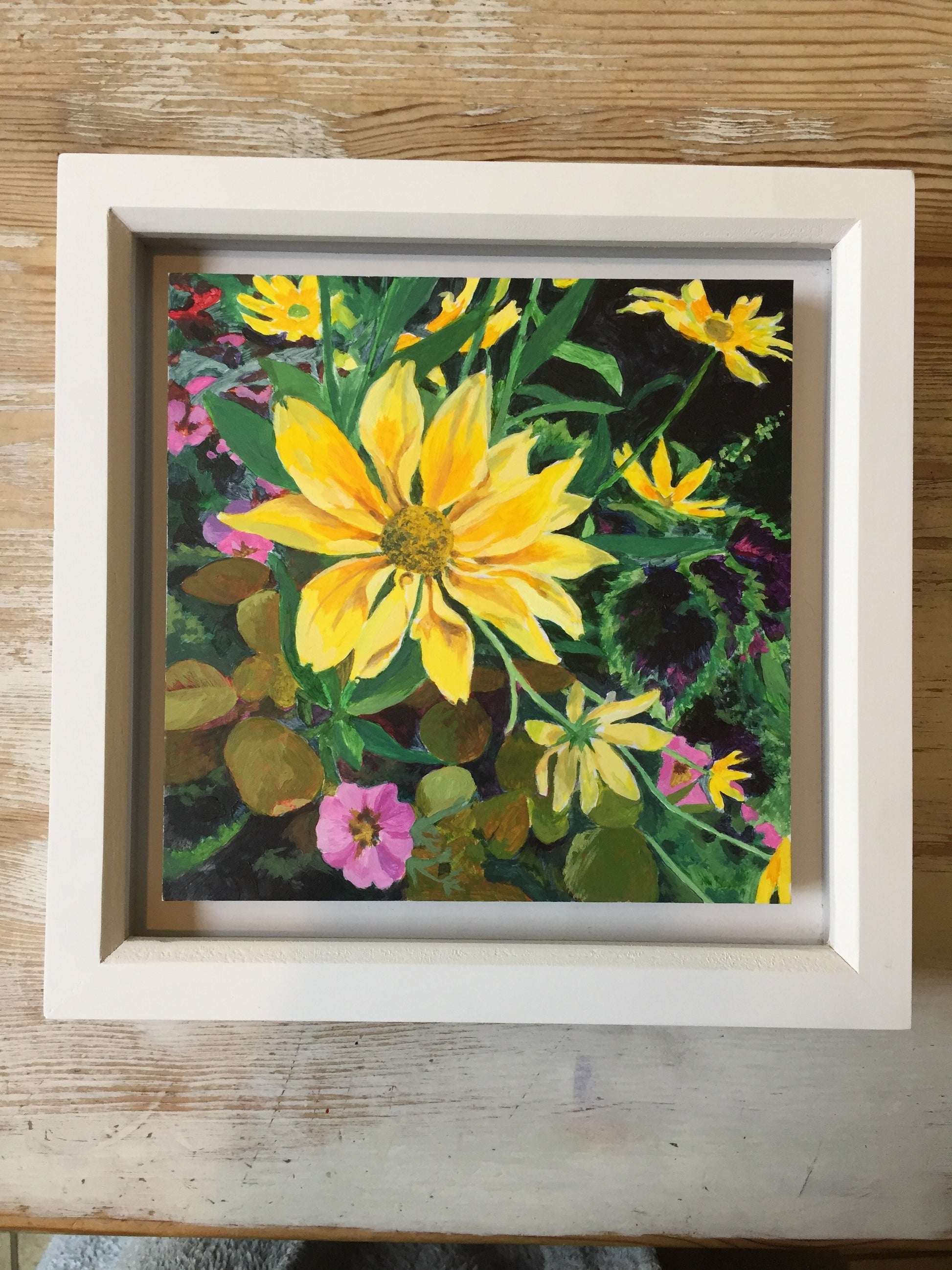 Rudbeckia at Regents Park by Helena Roden