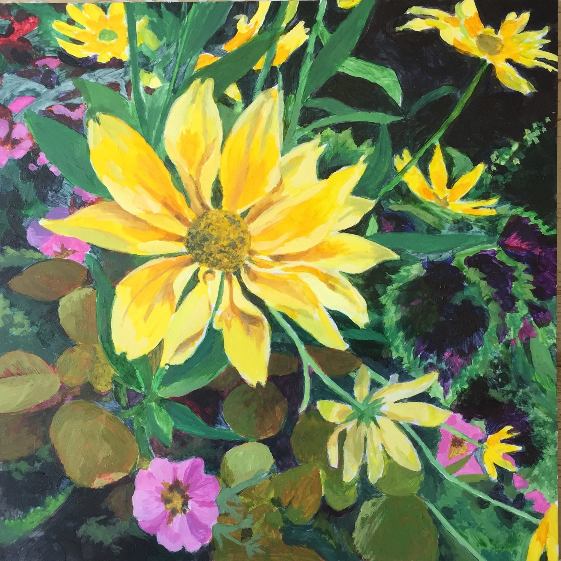 Rudbeckia at Regents Park by Helena Roden