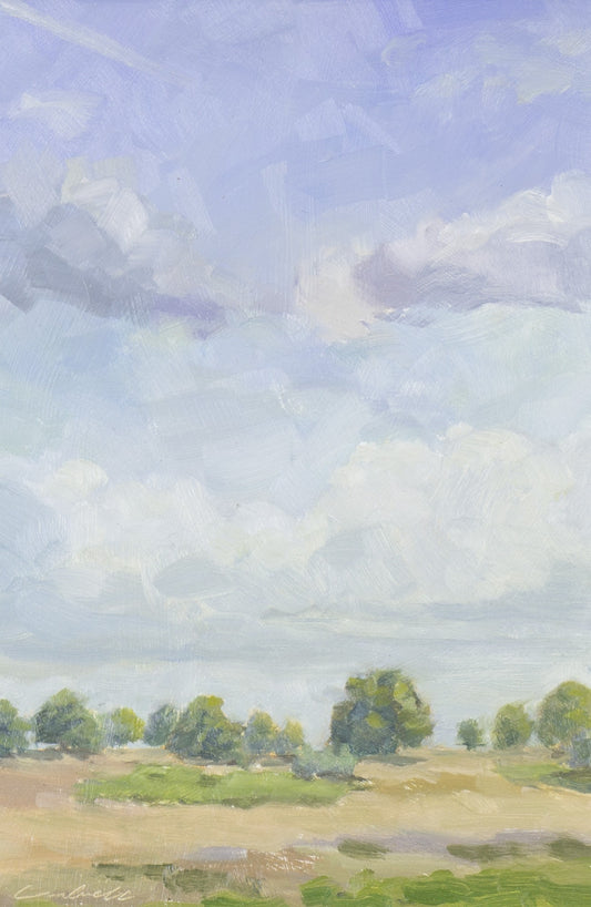 Summer Skies, Richmond Park by Matthew Cordwell