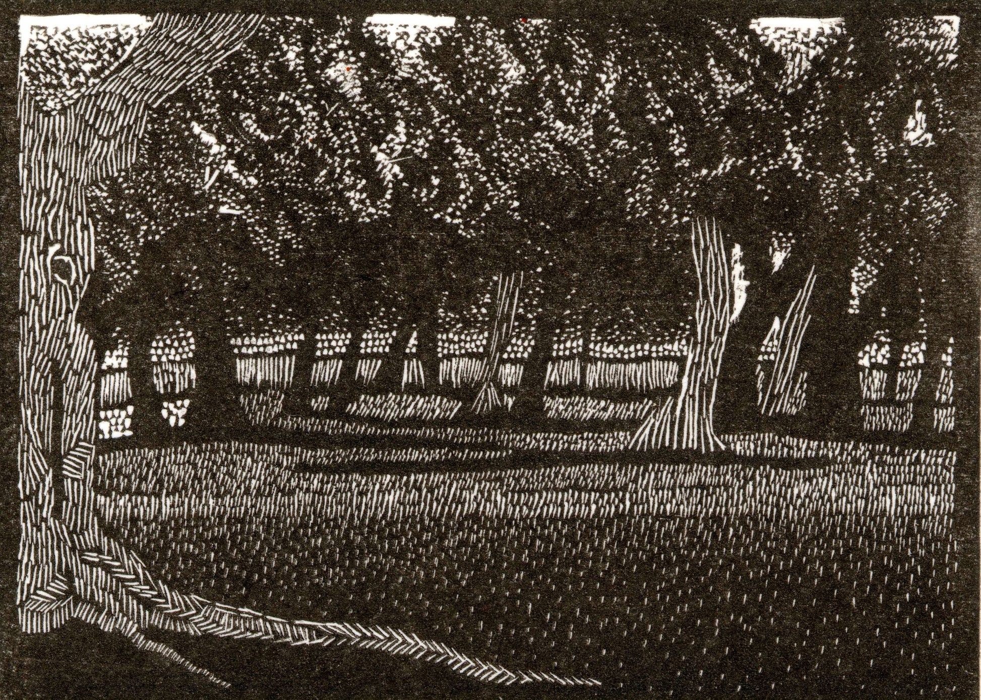 Summer Trees by Amanda Taylor
