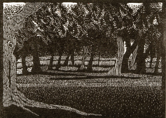 Summer Trees by Amanda Taylor