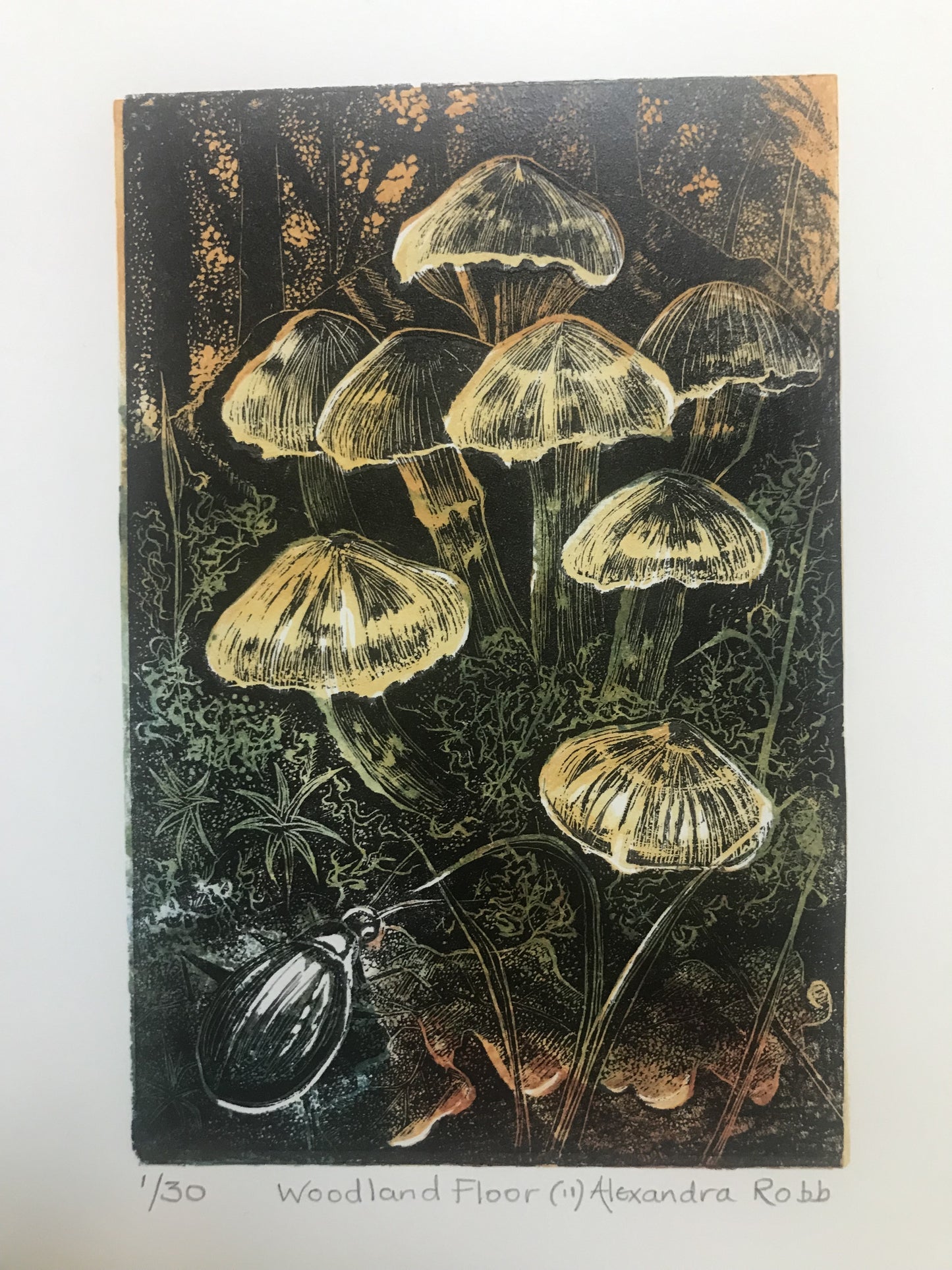 Woodland Floor 2 by Alexandra Robb