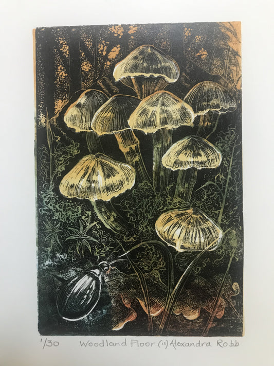 Woodland Floor 2 by Alexandra Robb